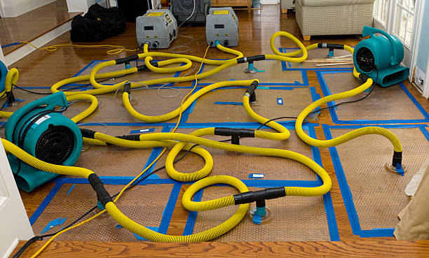Professional Sewage Cleanup technician working in Wattsburg, PA